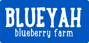 Blueyah Blueberry Farm